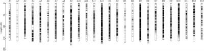 QTL mapping and BSA-seq map a major QTL for the node of the first fruiting branch in cotton